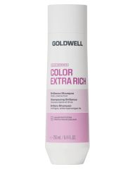 Goldwell dualsenses color extra rich brilliance shampoo