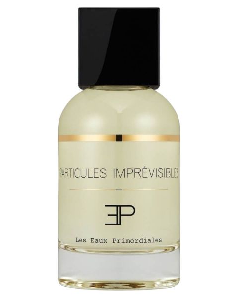 Les Eaux Primordiales Particules Imprévisibles EDP