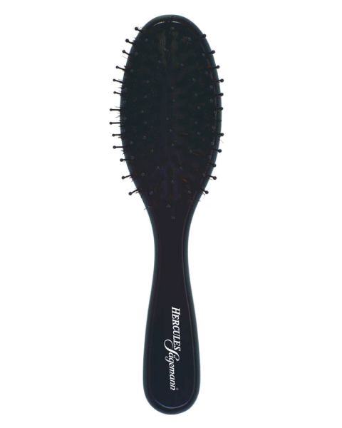 Hercules Sägemann Brush 9530 Hercules Sägemann Brush 9530