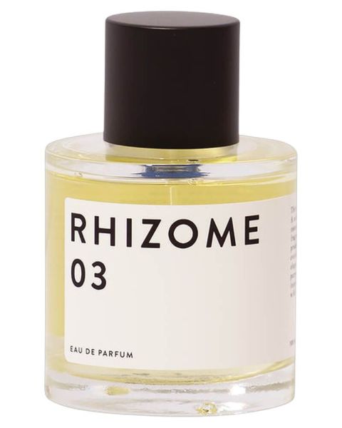 Rhizome 03 EDP