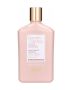 ALFAPARF Keratin Therapy Lisse Design Maintanance Shampoo 250 ml