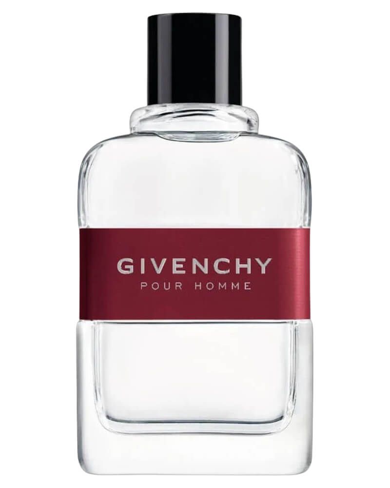 Givenchy Pour Homme EDT 100 ml