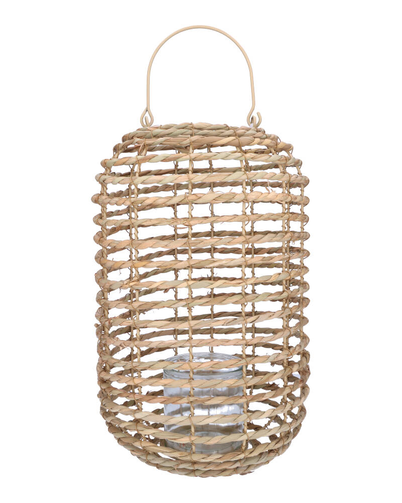 Lantern Natural Cattail 27X37C 1 stk.